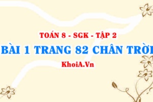 Bài 1 trang 82 Toán 8 Chân trời sáng tạo Tập 2